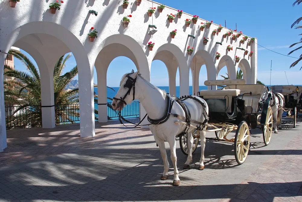 Balcón de Europa en Nerja Carro de Caballos